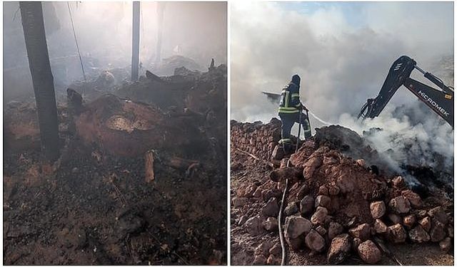 Erzurum'da samanlık ve ahırda çıkan yangında 21 büyükbaş hayvan telef oldu