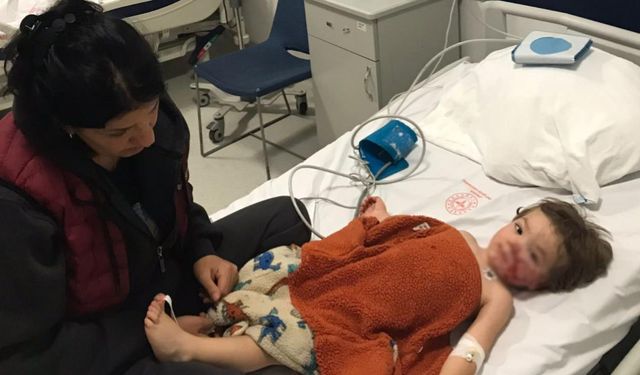 Başkentte 2 çocuğu yaralayan pitbull cinsi köpeğin sahibi tutuklandı