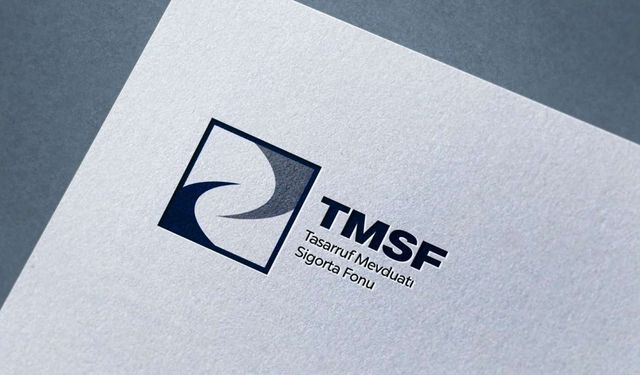 TMSF İstikbal Mobilya'yı satışa çıkardı