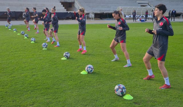 A Milli Futbol Takımı, Kosova maçına hazır