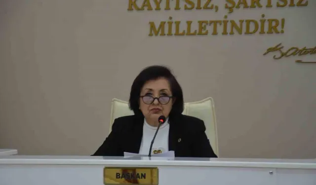 CHP'li meclis üyesi komisyon görevinden istifa etti