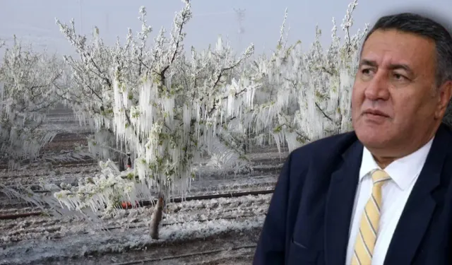 CHP'li Gürer zirai don riskine dikkati çekti