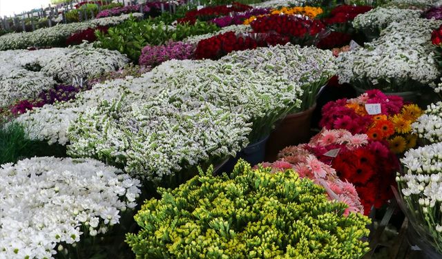 İzmir'den Anneler Günü için 8 milyon dal çiçek