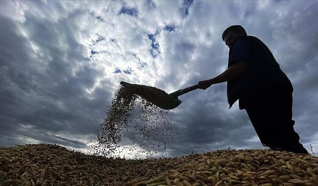 Bakan Yumaklı, yaklaşık 6,5 milyar lira tarımsal destekleme ödemesinin bugün yapılacağını bildirdi
