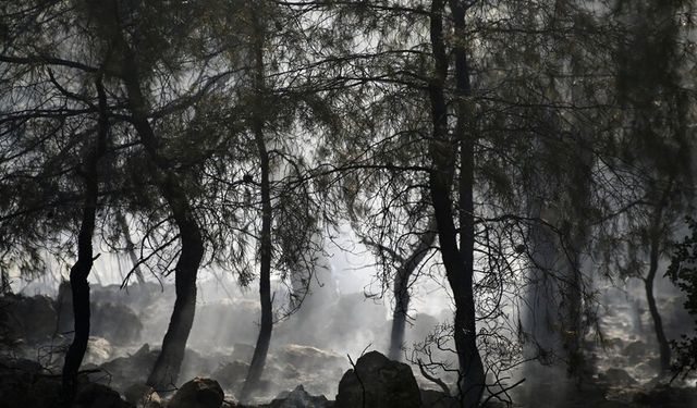 Fethiye'de çıkan orman yangını kontrol altına alındı