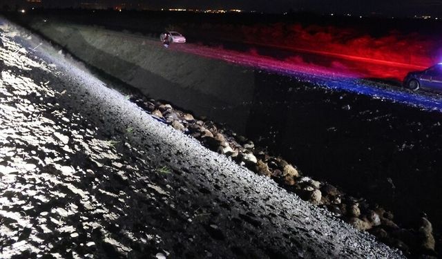 Iğdır'da arı saldırısı sonucu birbirini ezen 400 küçükbaş hayvan telef oldu