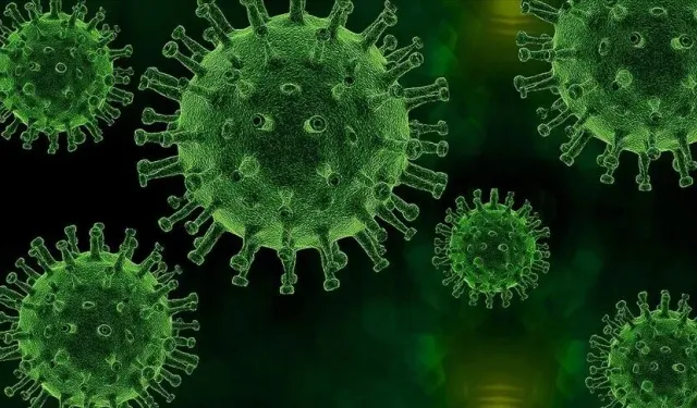 DNA örneklerine göre, en eski veba salgını yaklaşık 5 bin 500 yıl önce görüldü