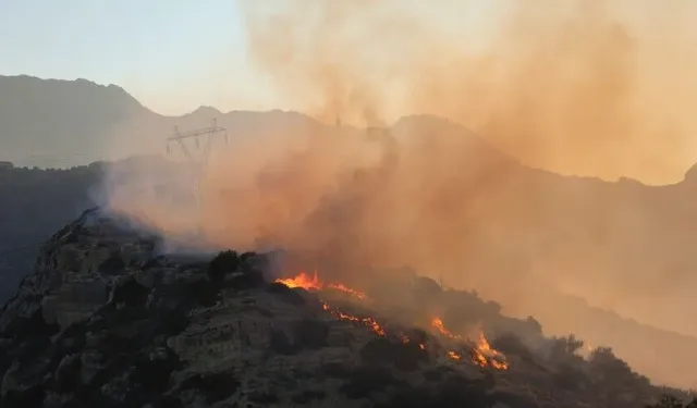 Girit Adası'nda orman yangınları başladı