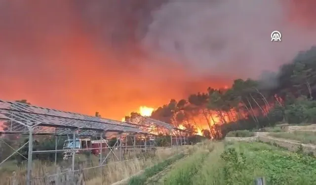 Güncel
