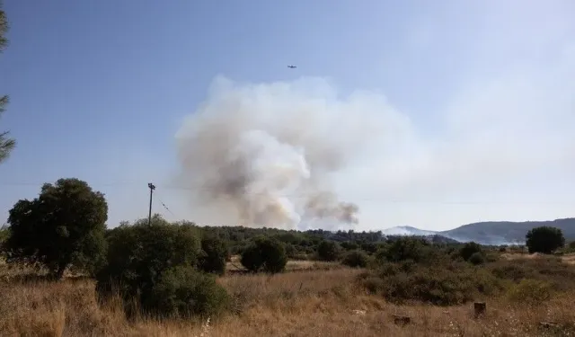 Güncel
