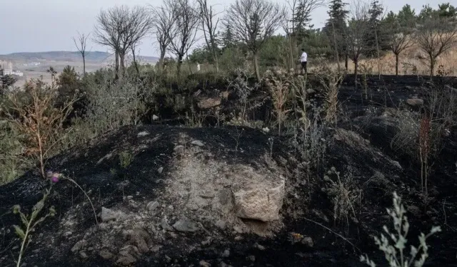 Ankara'da 2 ayda otluk ve ekili alanlarda 2 bin 242 yangın!