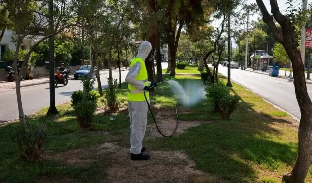 Yunan uzman, Batı Nil virüsü vakalarının en çok ağustos sonunda görüldüğünü söyledi