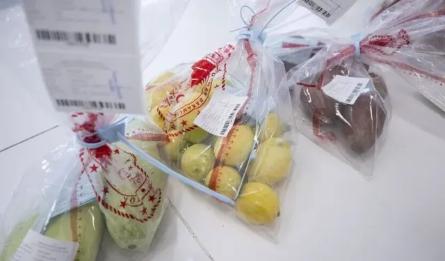 Ekonomi