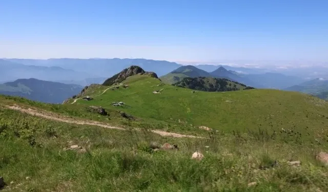 Güncel