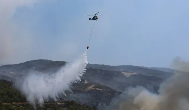 Orman yangınlarına ilişkin soruşturmalarda 69 şüpheliden 15'i tutuklandı