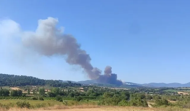 Güncel