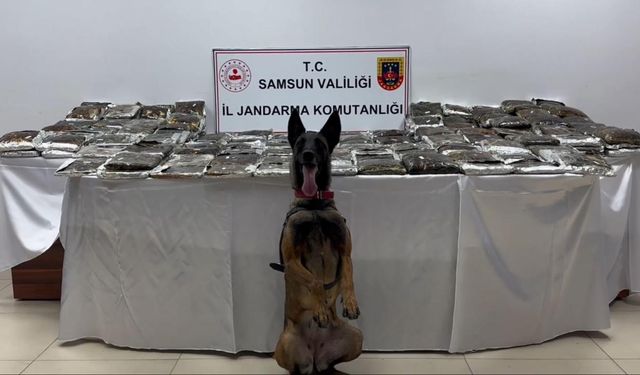 Samsun'da bir tırda 132 kilogram uyuşturucu ele geçirildi
