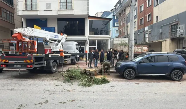Güncel