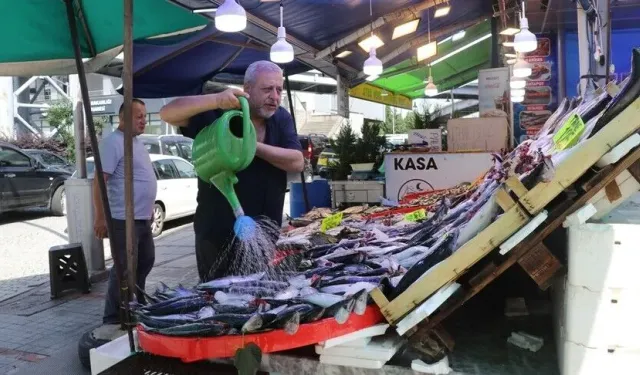 Güncel