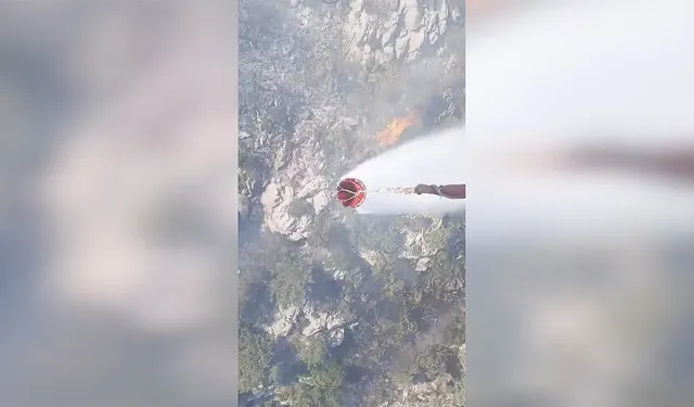 Güncel