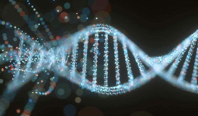 Verileri DNA'da 1.000 yıl saklayan çip tanıtıldı: Thalia