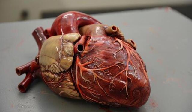 FDA dünyanın ilk büyüyebilen yapay kalp kapağını onayladı