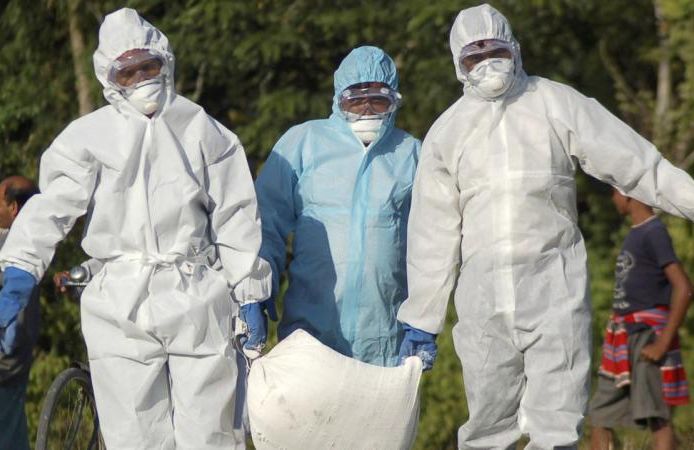 Hindistan'da bazı hayvanat bahçeleri, kuş gribi riski nedeniyle bir haftalığına kapatıldı