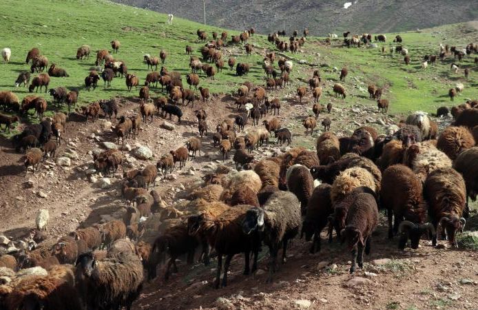 "Halk Elinde Islah Projeleri"ne 2,7 milyar lira destek