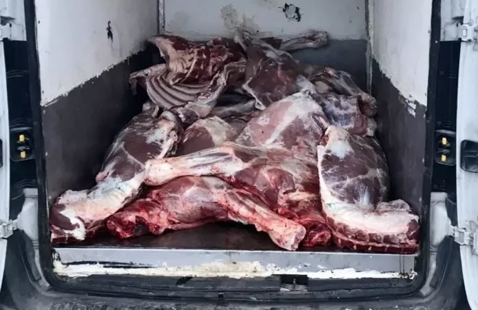 6,1 ton kaçak ve bozulmuş et ele geçirildi: 3 gözaltı
