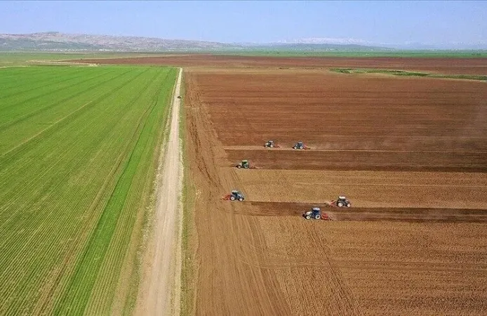 Tarımsal girdi fiyat endeksi haziranda yıllık bazda yüzde 32,06 artarken aylık yüzde 0,92 azaldı