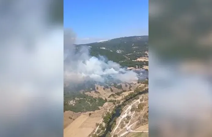 Orman yangını alarmı: Alevlere müdahale sürüyor