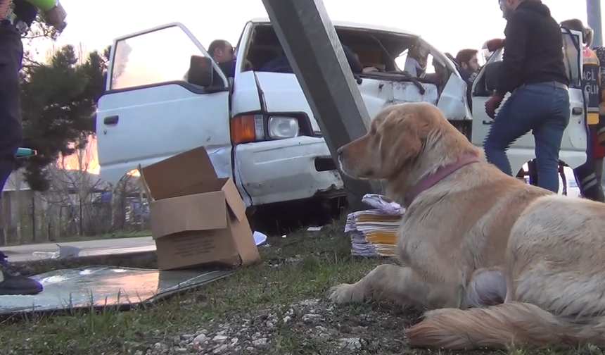 Araç içinde sıkışan sürücüyü köpeği yalnız bırakmadı