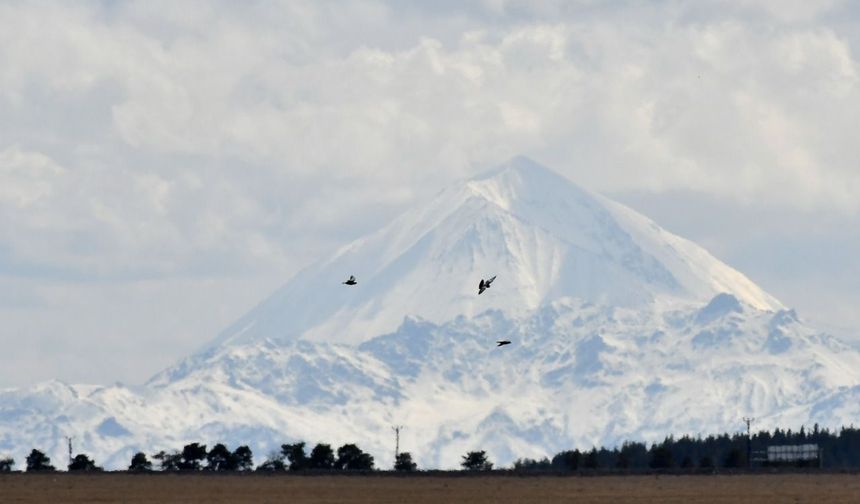 Ardahan, Tunceli ve Kars'ta kar yağışı etkili oldu