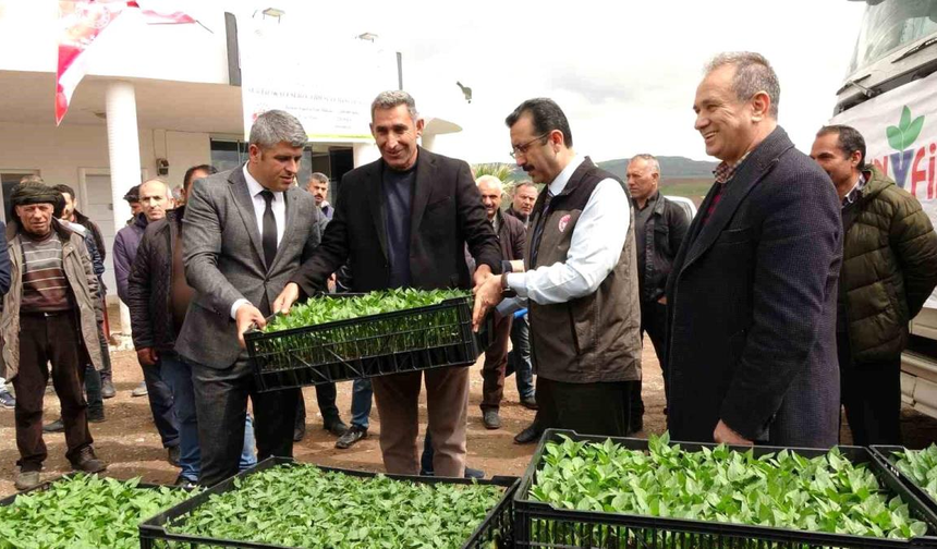 Devlet çiftçiye destek verdi, bağ bahçe sebze fidesiyle dolacak