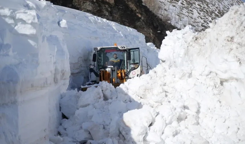 İl Özel İdaresi Yol ve Ulaşım Hizmetleri Müdürlüğü'ne bağlı ekiplerin mart ayının son günlerinde kar kalınlığının yer yer 7 metreyi bulduğu Üçevler grup köy yolunun açılması için başlattığı çalışma tüm hızıyla devam ediyor.