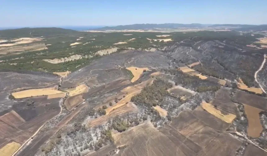 Çanakkale'nin Eceabat ilçesine bağlı Kumköy köyü yakınlarında 18 Haziran günü saat 16.05 sıralarında tarım arazisinde başlayan yangın rüzgarında etkisiyle ormanlık alana sıçradı. 