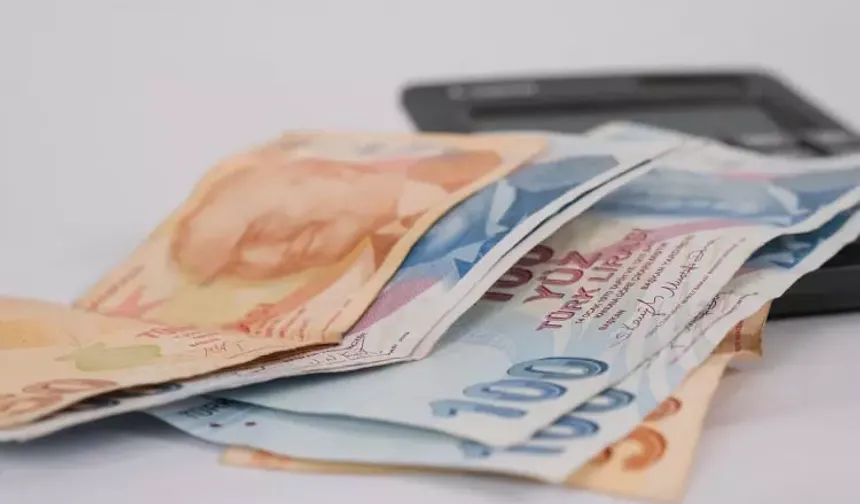 Bu biriken parayı öğrenmenin önemli bir yolu ise her gün milyonlarca kişinin kullandığı e-Devlet üzerinden geçiyor.