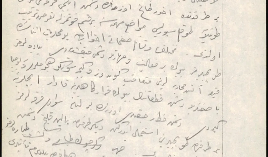 MUSTAFA KEMAL PAŞA'NIN RAUF BEY'E GÖNDERDİĞİ TELGRAF
Başkumandan Mustafa Kemal Paşa, Rauf Bey'e gönderdiği telgrafında şu bilgileri aktarmaktadır:
"… Beş gün süren ve cepheyi yırtarak başlayan meydan muharebesi 36 saat sürmüş, Afyon güney mıntıkasında Birinci Ordu tarafından yapılan yarma faaliyetiyle 100 kilometrelik bir hattın düşman işgalinden temizlendiğini bildirmiştir."
Mustafa Kemal, bu arşivlerde "Piyadelerin kısa ateş muharebeleri sonrası gündüz ve gece süngü hücumları ve bomba baskınlarıyla düşman karargahlarına girdiği; düşmanın ricat hatlarındaki süvari birliklerinin bir taraftan topçularını kullanırken diğer taraftan yalın kılıçla saldırdığı; savaş ve keşif uçaklarımızın havadan bomba ve makineli tüfekle saldırdığı; bu yıldırım etkisi yaratan saldırılar sonucunda düşman ordusunun büyük kısmının mağlup olduğu, birbiriyle karışarak ikiye parçalandığı ve iki buçuk fırka kadarının Dumlupınar istikametinden batıya atıldığı" şeklinde savaş sahasını canlı bir biçimde tasvir etmiştir.