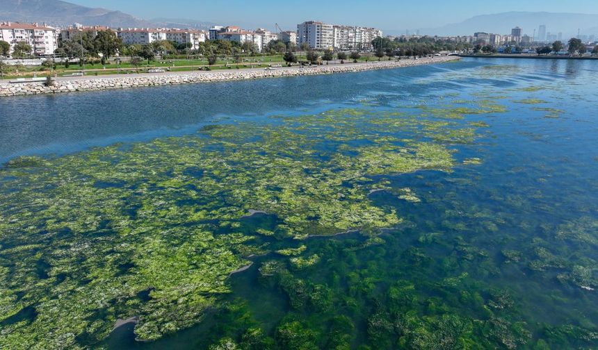 Bakanlıktan 'İzmir için nefes' projesi