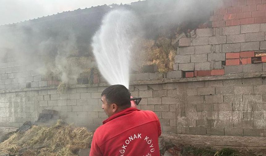 Isparta'da besihane yangını: 12 küçükbaş hayvan telef oldu