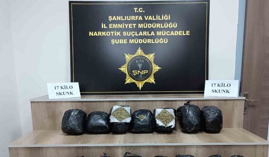 Şanlıurfa’da 17 kilo skunk ele geçirildi: 1 gözaltı