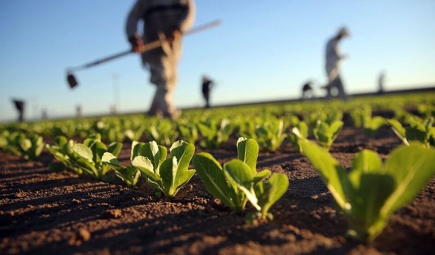 Türkiye'de Kuraklık ve Yeni Nesil Çiftçilik Yöntemleri