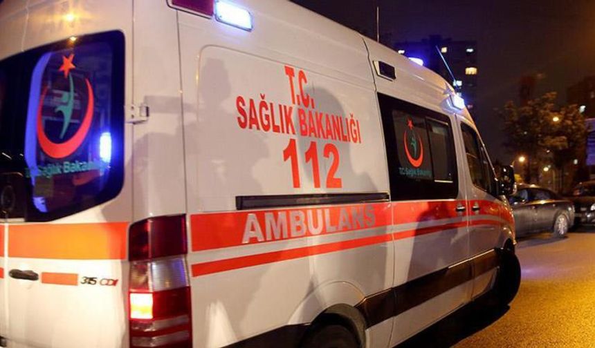 Ardahan'da yıldırım isabet eden genç öldü