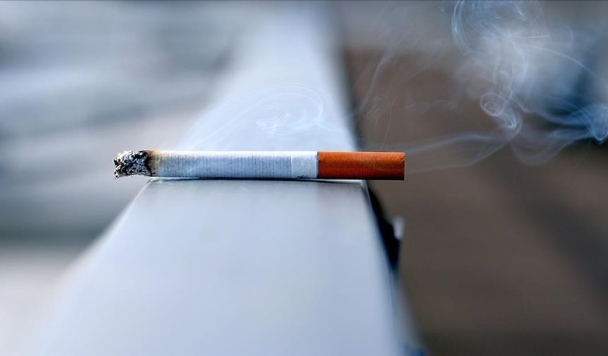2025'te 1 trilyon dolar kazanması öngörülen tütün şirketleri, satış taktikleriyle gençleri hedef alıyor