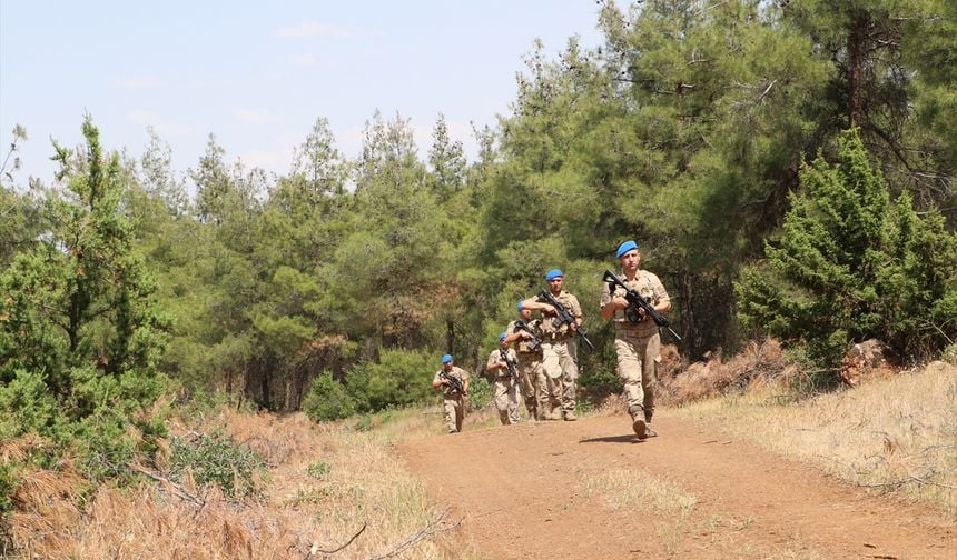 Kilis'te orman yangını denetimi
