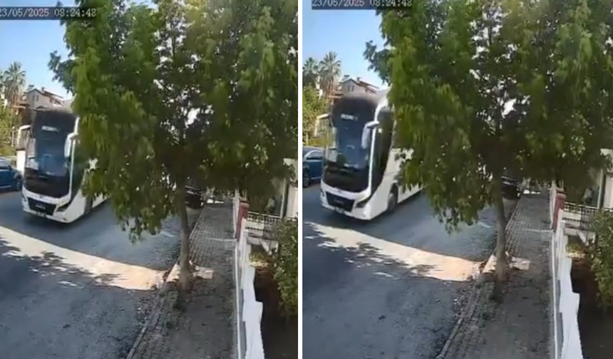 Yolda yatan köpeği ezip yoluna devam etti