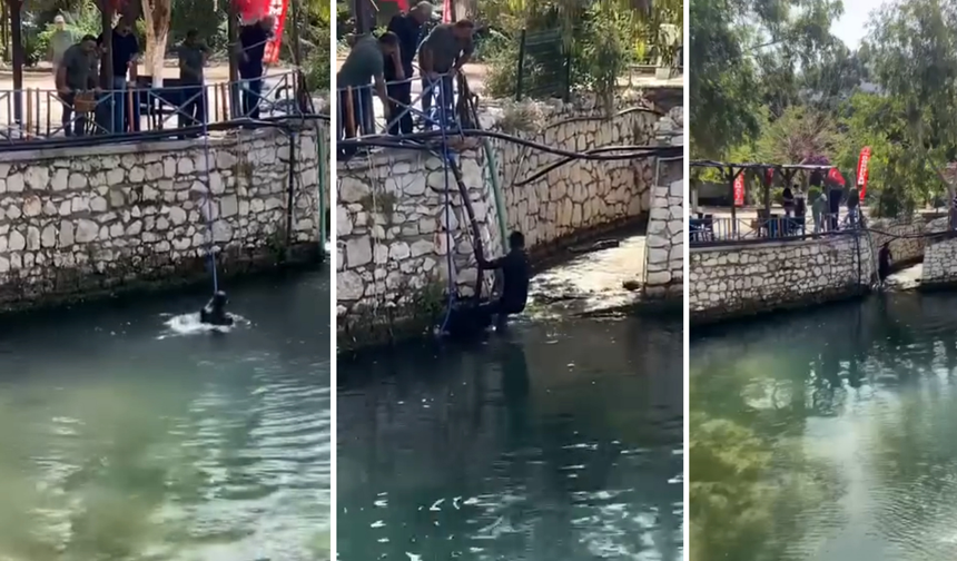 Polisi görünce dereye atladı, boğulma tehlikesi geçirdi