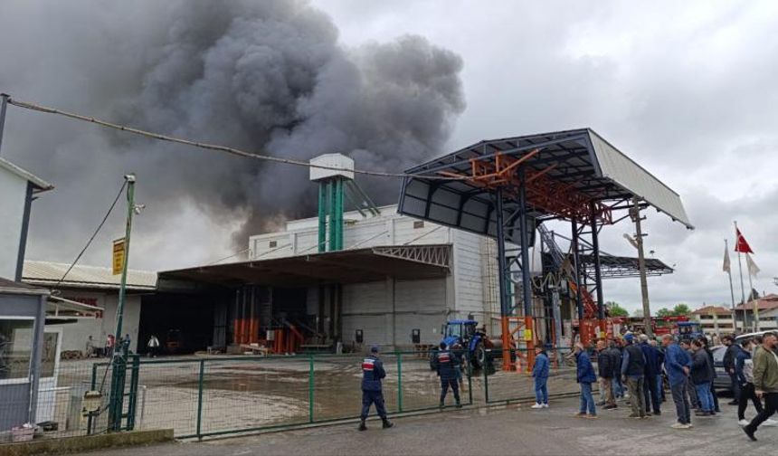 Fındık fabrikasında korkutan yangın: Kontrol altına alındı