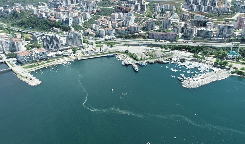 Marmara'nın incisi Gemlik! Doğa ve tarihin izinde...