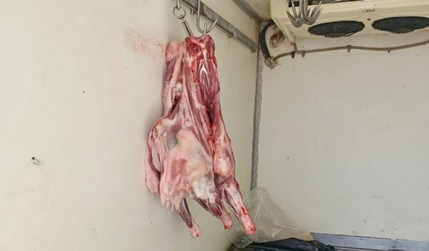 Hatay'da sağlıksız koşullarda taşınan 34 kilo et imha edildi